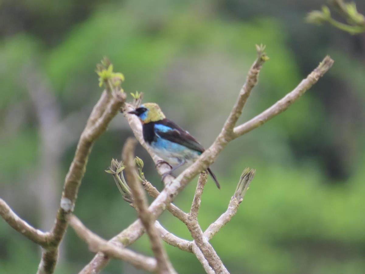 Konsenda San Blas Chepo  ภายนอก รูปภาพ