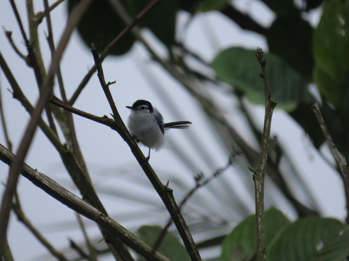 Konsenda San Blas Chepo  ภายนอก รูปภาพ