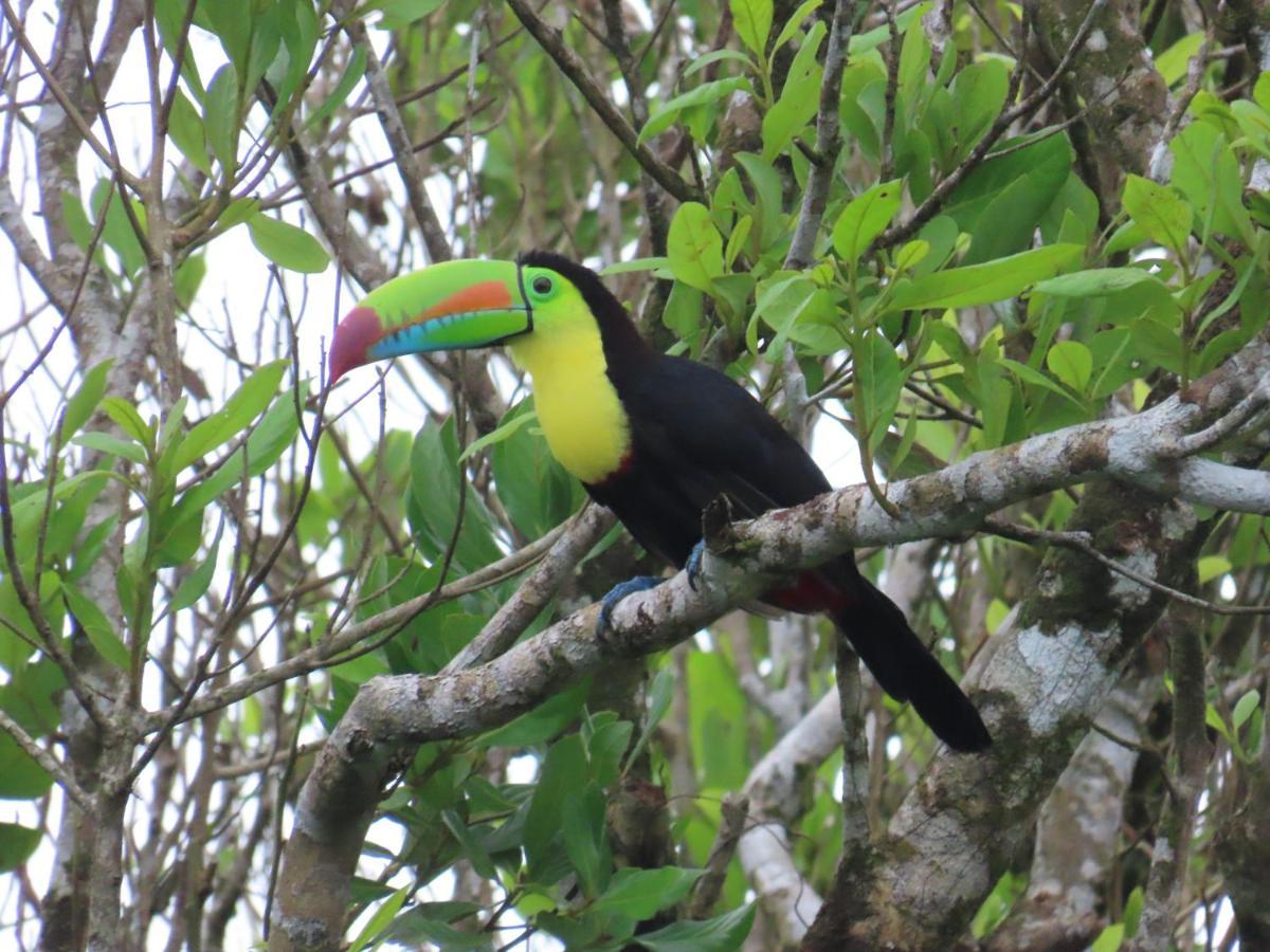 Konsenda San Blas Chepo  ภายนอก รูปภาพ
