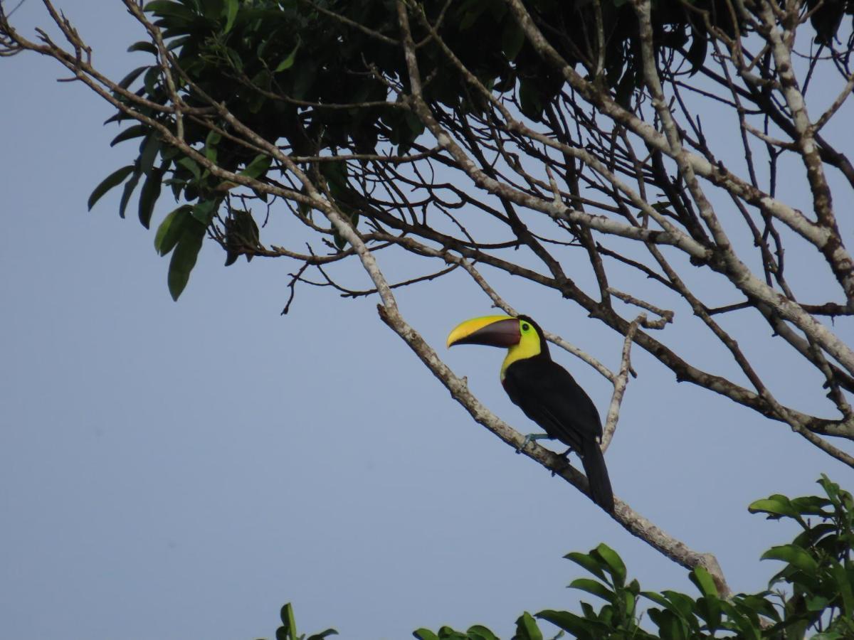 Konsenda San Blas Chepo  ภายนอก รูปภาพ