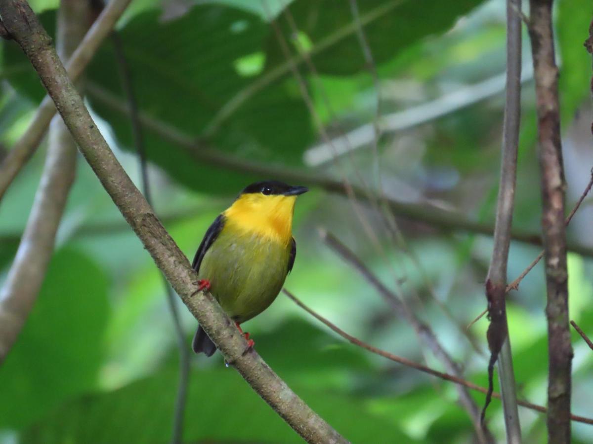 Konsenda San Blas Chepo  ภายนอก รูปภาพ