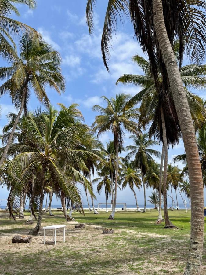 Konsenda San Blas Chepo  ภายนอก รูปภาพ