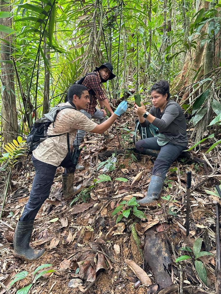 Konsenda San Blas Chepo  ภายนอก รูปภาพ