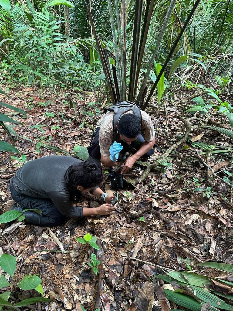 Konsenda San Blas Chepo  ภายนอก รูปภาพ