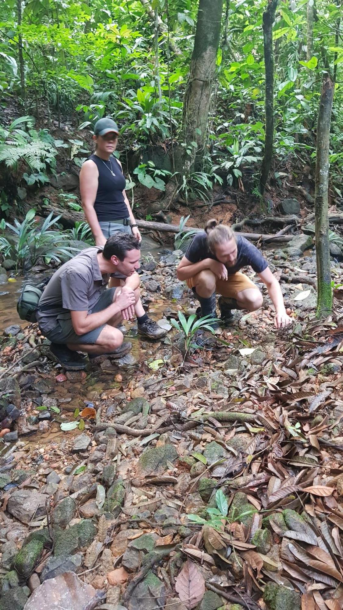Konsenda San Blas Chepo  ภายนอก รูปภาพ